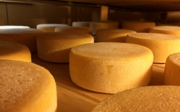 Products & Manufacture